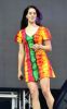 Lana_del_Rey___Performs_on_the_Pyramid_Stage_038.jpg